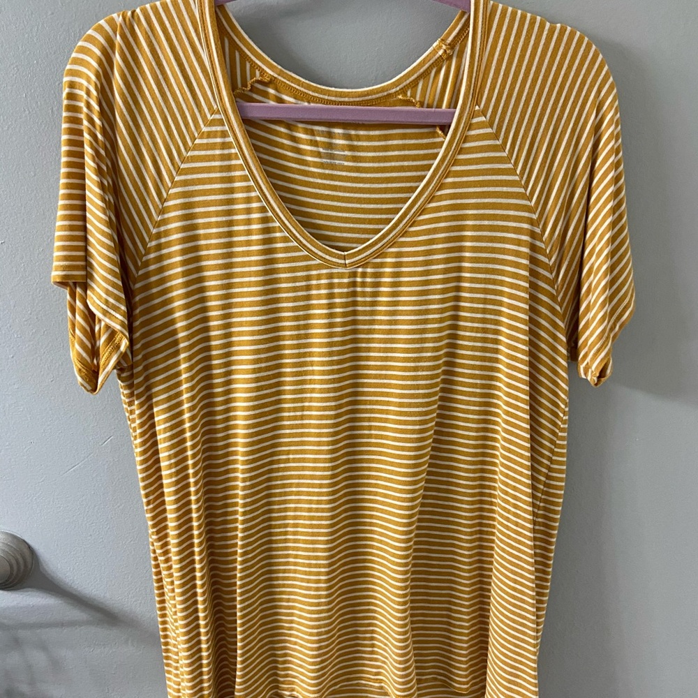 basic v neck t-shirt